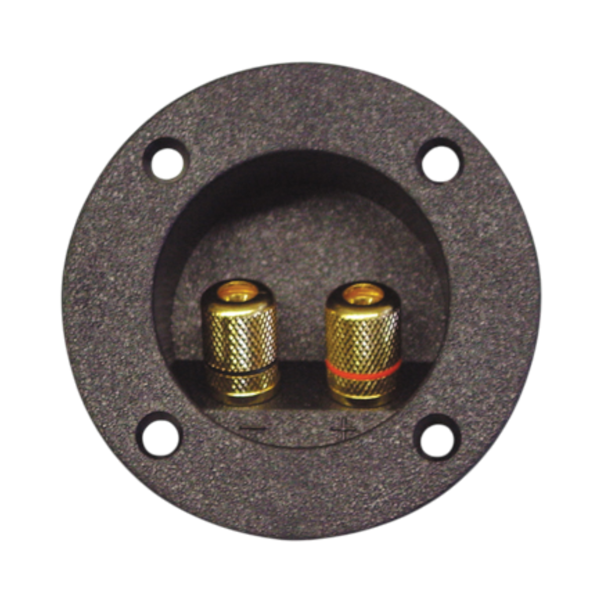 Base redonda terminales metalicos BOX