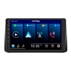 Carthing M Lancia Voyager 2011