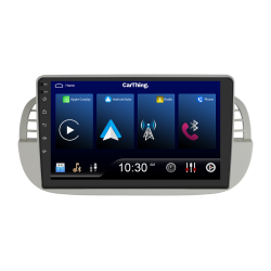 Carthing M Fiat 500 2007